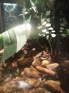 No matter what your connection to diabetes is, you are not alone. 