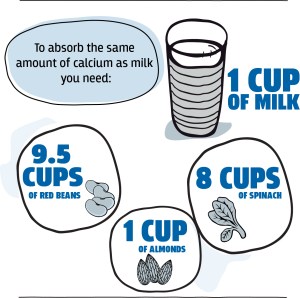 Not sure what would be worse for my tummy - a glass of milk or 9.5 cups of red beans!