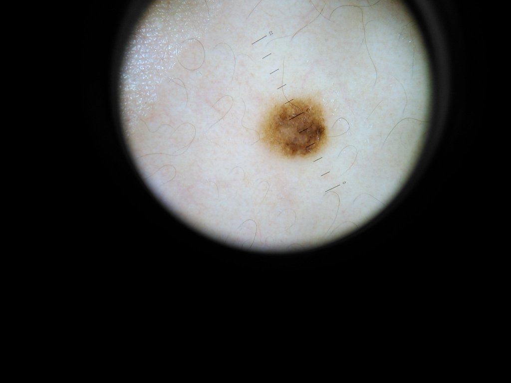 Naughty sun spot, changing colour on me and stuff.